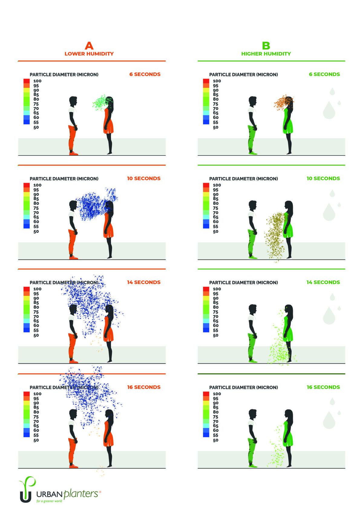 Creating a Healthy Distance With Plants