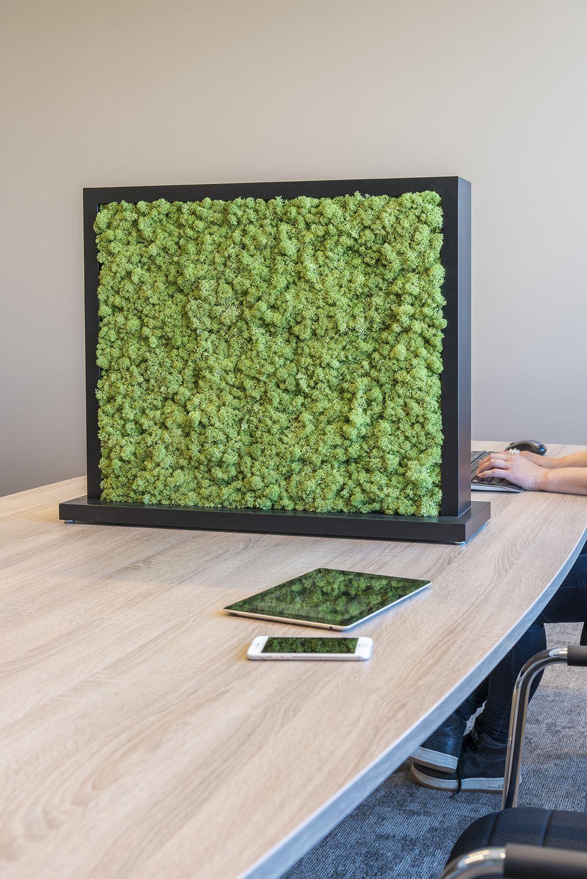 Creating a Healthy Distance With Plants