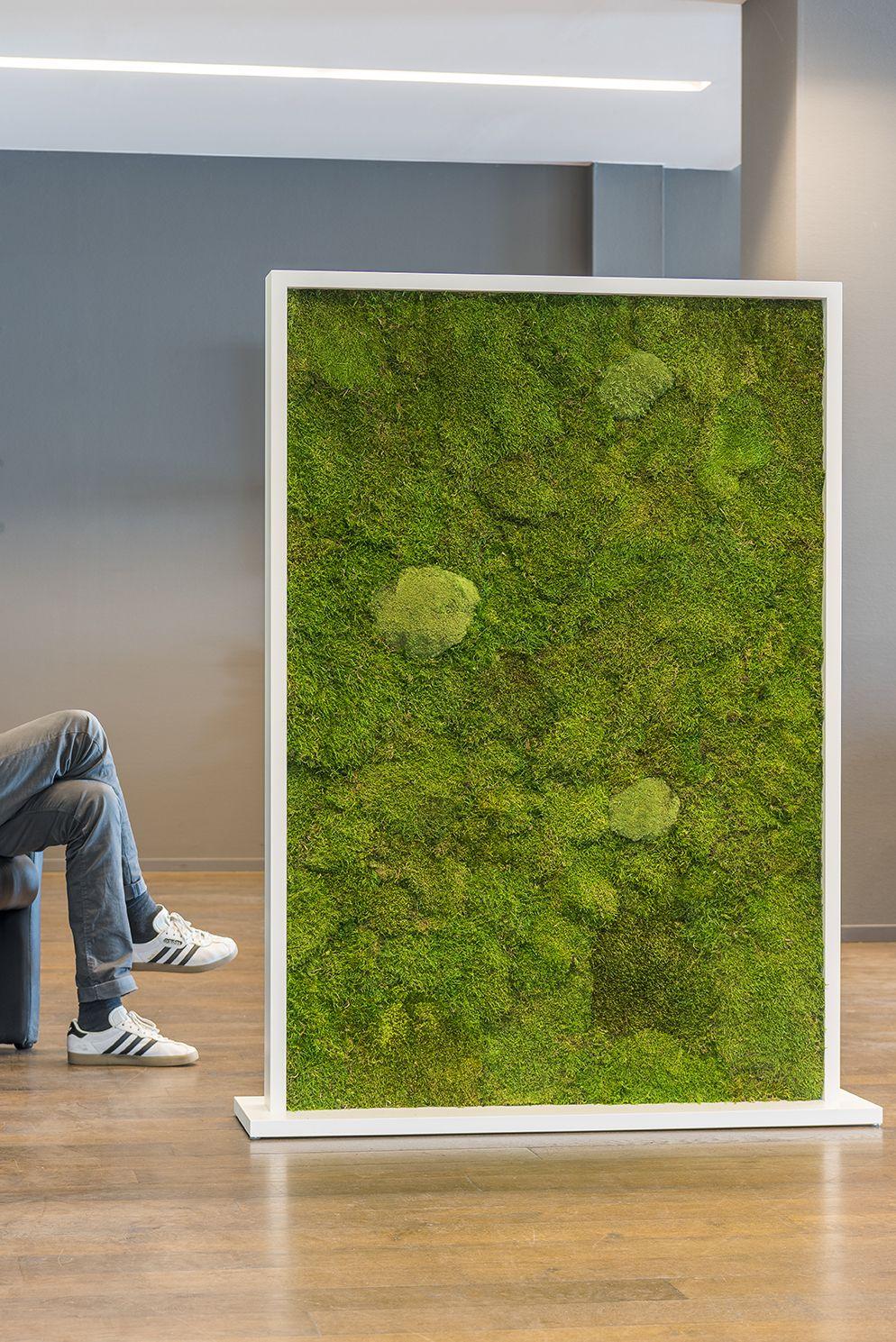 Creating a Healthy Distance With Plants