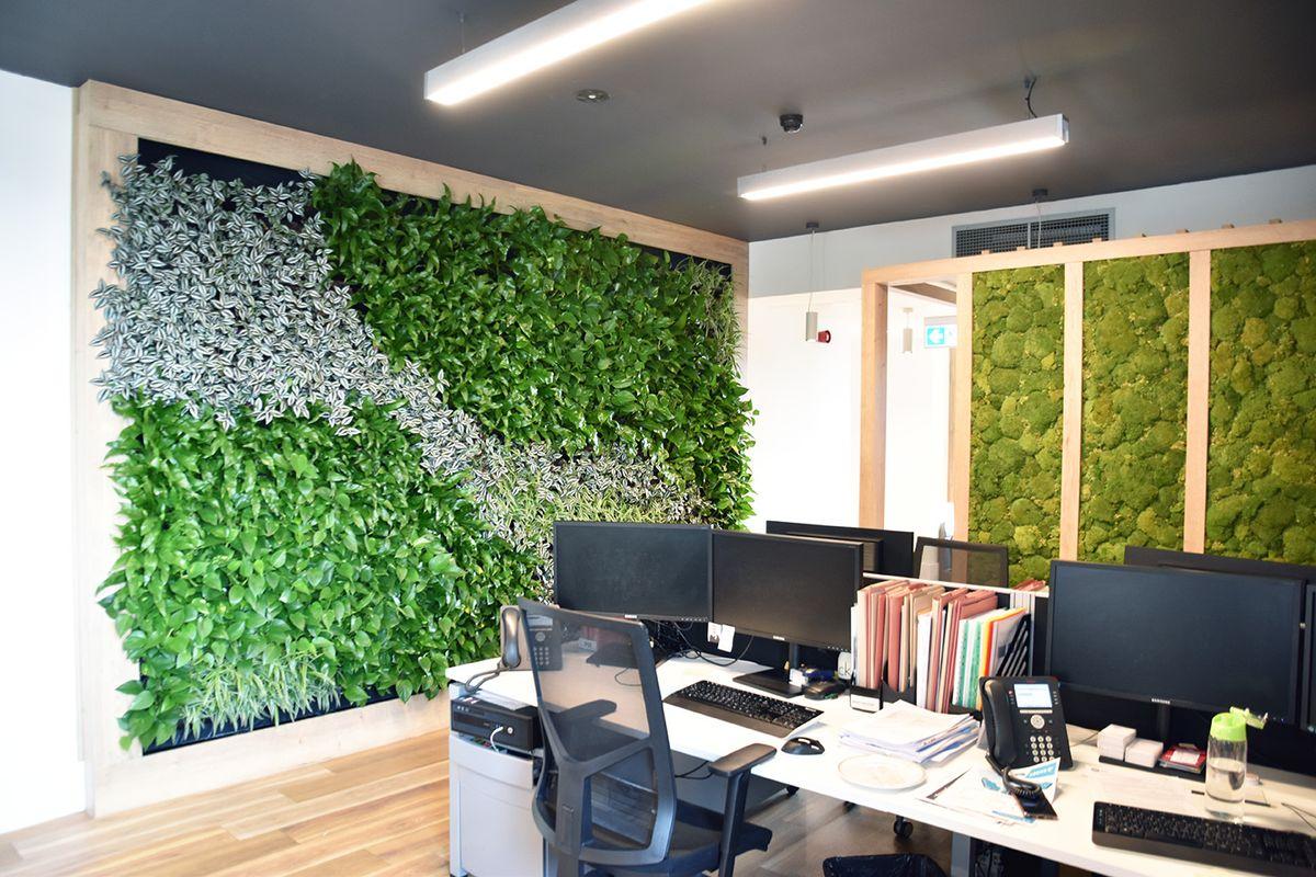 Modern office space with several workstations, computers, and chairs. The walls feature lush green vertical gardens and moss accents, creating a fresh and natural atmosphere. Bright lighting and wooden flooring are present.