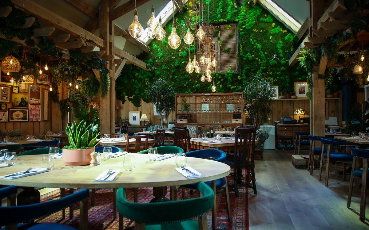 A cozy restaurant with wooden tables and chairs, lush green plants on the walls, hanging pendant lights, and natural light streaming in from skylights above. The atmosphere is inviting and vibrant.