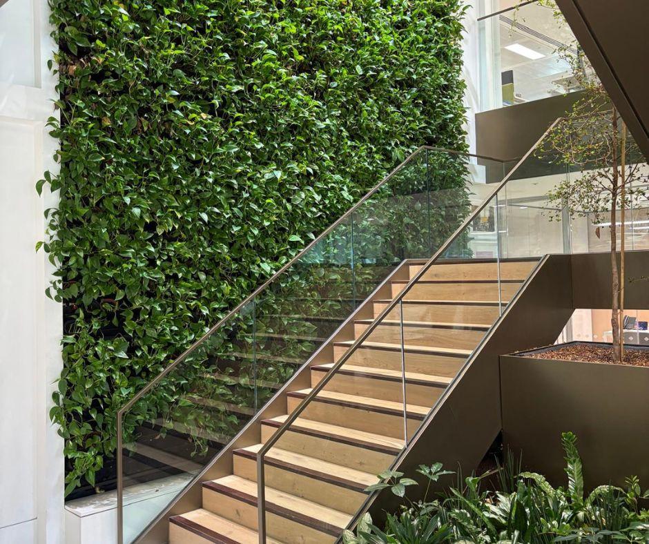 A modern indoor staircase with glass railings next to a lush green vertical garden wall, surrounded by various indoor plants.