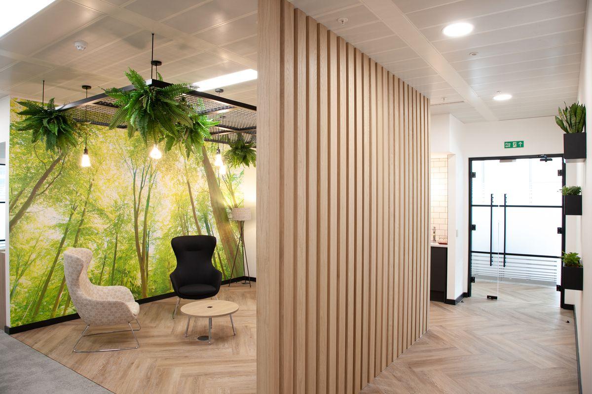 Modern biophilic office design breakout space with hanging greenery, forest wallpaper, and contemporary seating to improve workplace wellbeing.