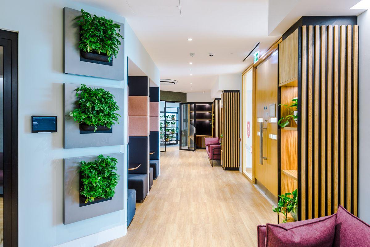 Modern corporate corridor design incorporating vertical living plant wall panels and wooden accents to enhance office aesthetics.