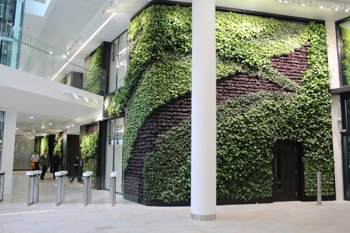 LEED on: Living walls are getting ever better at cementing a building's green credentials