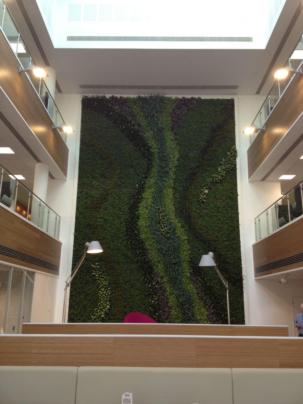 Living, Green Wall Project for Office Interior