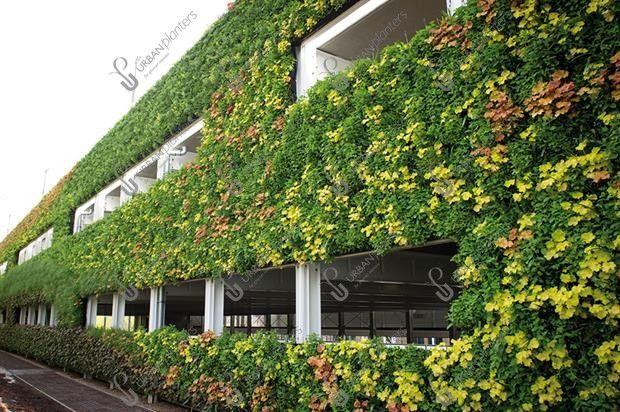 Living Wall – National Grid, Warwick