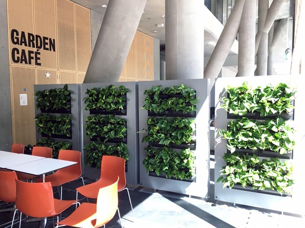 A modern indoor café with orange chairs, white tables, and green plants arranged vertically on panels, with GARDEN CAFÉ written on the wall in bold black letters.