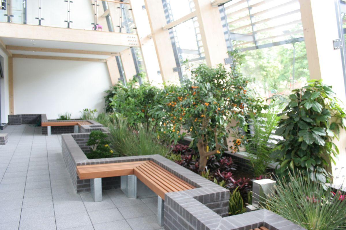 A modern indoor garden with wooden benches, gray brick planters, and various green plants and trees by large floor-to-ceiling windows letting in natural light.