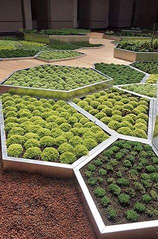 A series of geometric, metal-framed garden beds filled with different shades and textures of green plants arranged in a honeycomb pattern on a paved outdoor area.