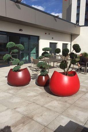 Three large, round, red planters with sculpted green plants are placed on a paved patio. There are tables and chairs in the background and a building with glass doors behind them under a blue sky.