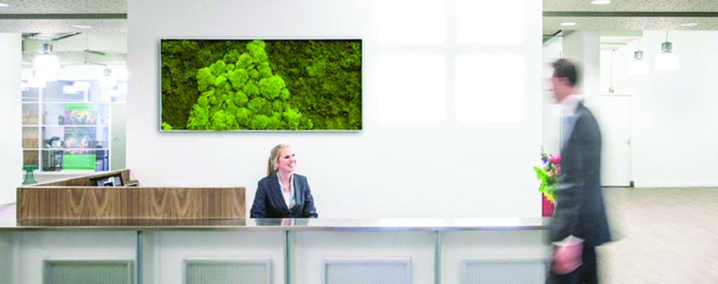 Show your workplace some love this National Plants at Work Week