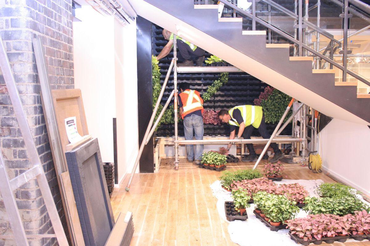 Two Urban Planters workers in safety vests tend to plants on a vertical garden wall beneath a staircase indoors. Potted plants and gardening materials are arranged on the wooden floor nearby.