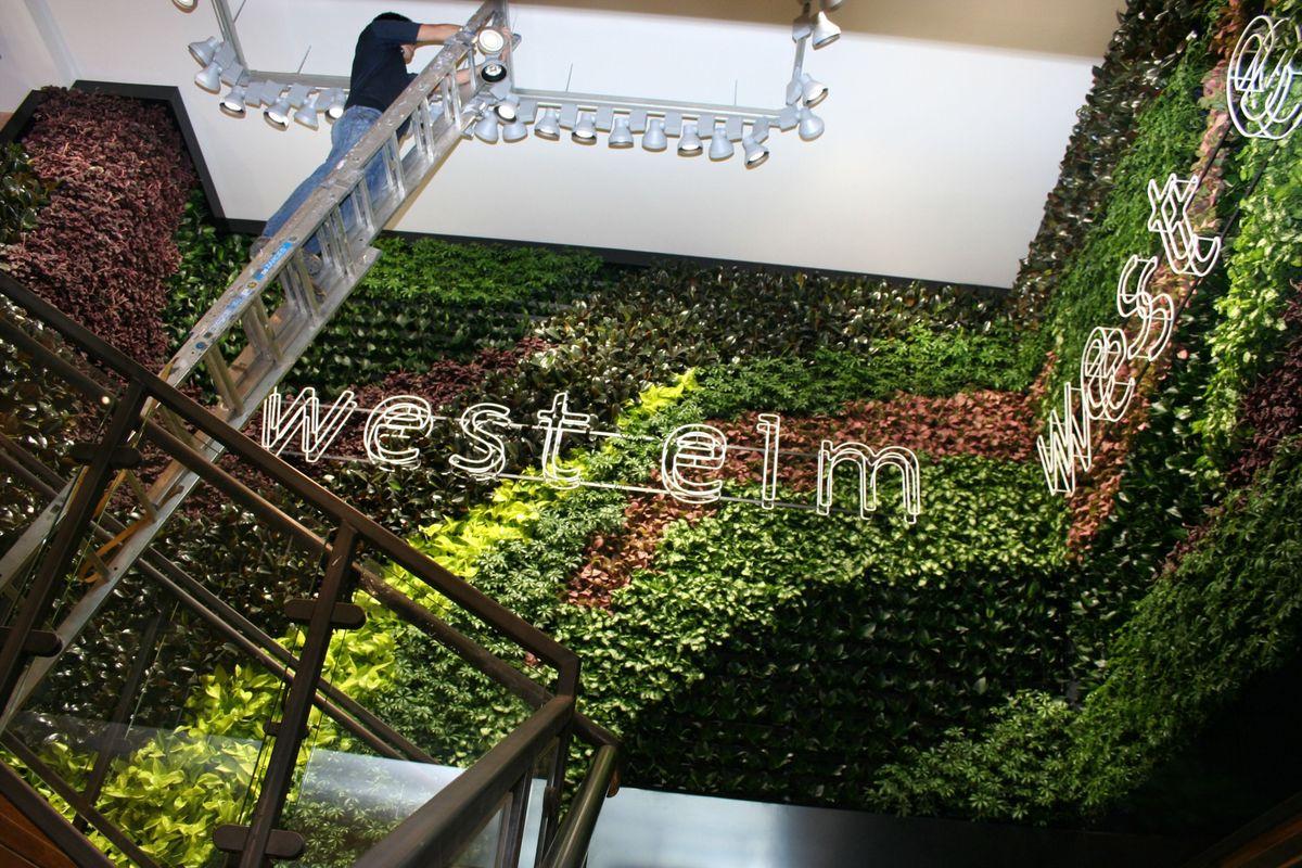 A person on a ladder adjusts ceiling lights above a vertical green wall installed by Urban Planters with plants and illuminated west elm signs indoors.