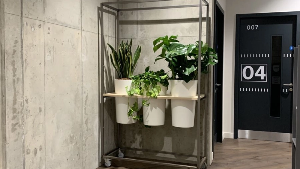 nottingham-trent-uni-indoor-live-plant-displays-nottingham-trent-university-9-sc