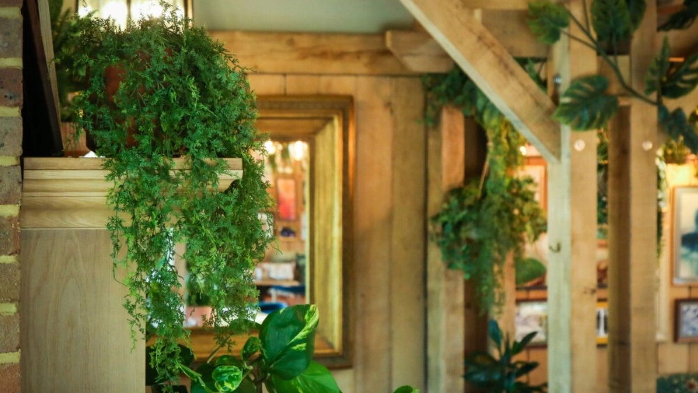 the-frog-at-mindenhu-indoor-live-plant-displays-the-frog-mindenhurst-15