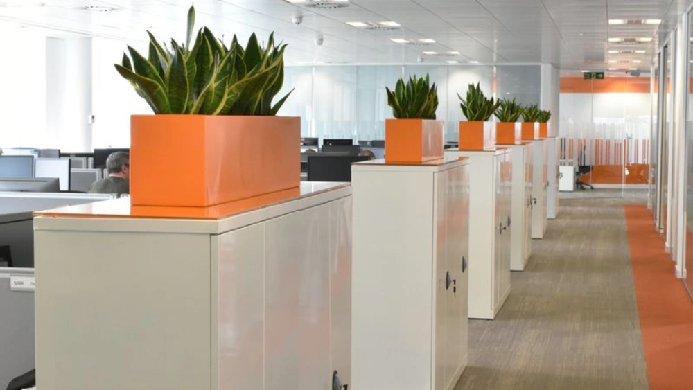 sas-uk-indoor-live-plant-displays-sas-uk-glasgow-2-min-scaled