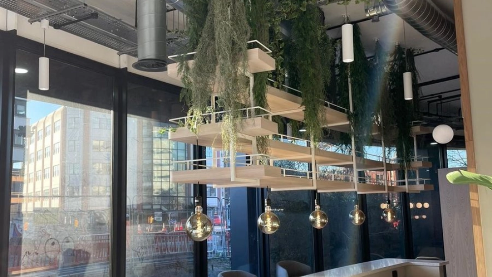 Plants hanging from the roof above a bar