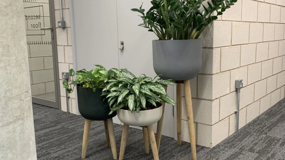nottingham-trent-uni-indoor-live-plant-displays-nottingham-trent-university-6-sc