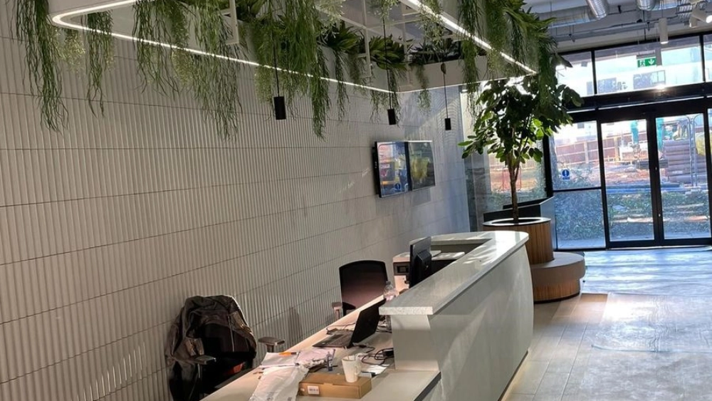 Plants hanging above a reception desk