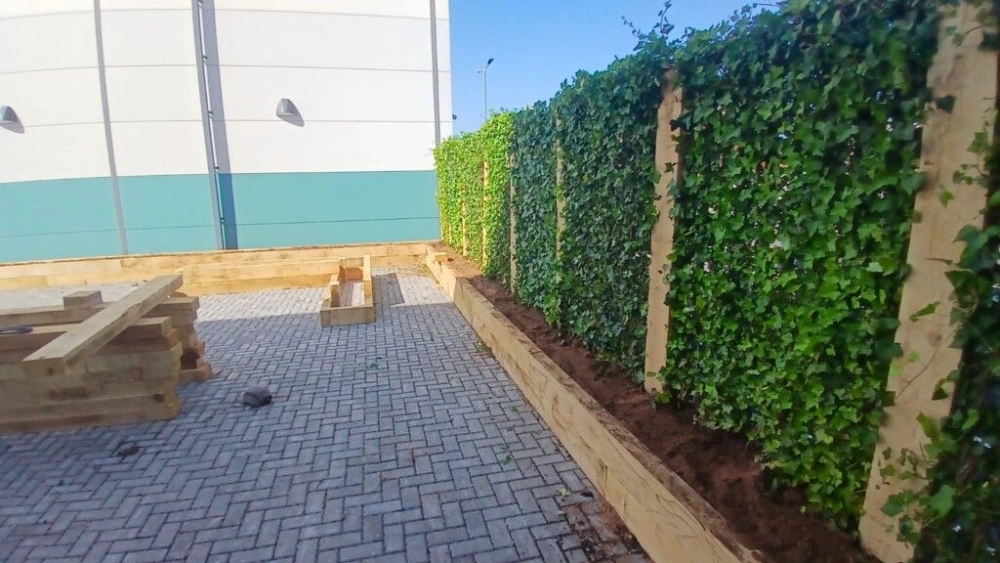 Wall of plants in wooden plant beds
