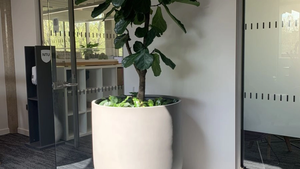 nottingham-trent-uni-indoor-live-plant-displays-nottingham-trent-university-7-sc