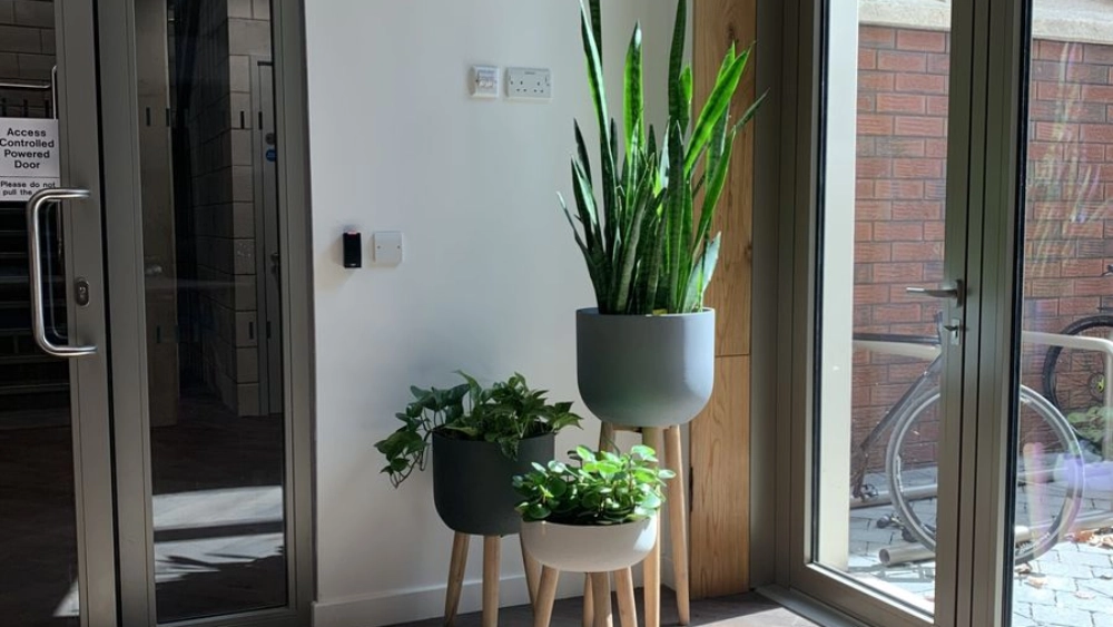 nottingham-trent-uni-indoor-live-plant-displays-nottingham-trent-university-1-sc