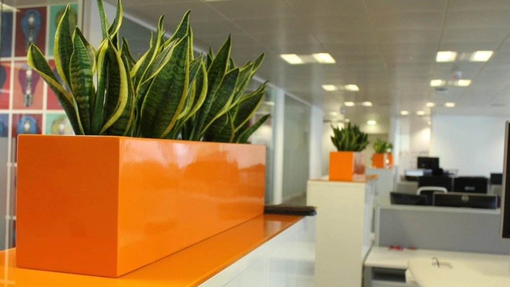 sas-uk-indoor-live-plant-displays-sas-uk-glasgow-54-min