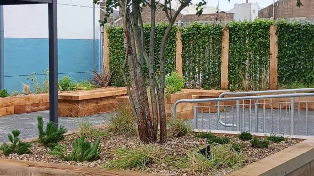 Finished exterior space full of plants