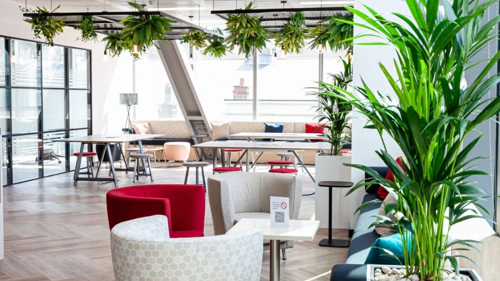 browne-jacobson-indoor-artificial-plant-displays-brown-jacobson-llp-7