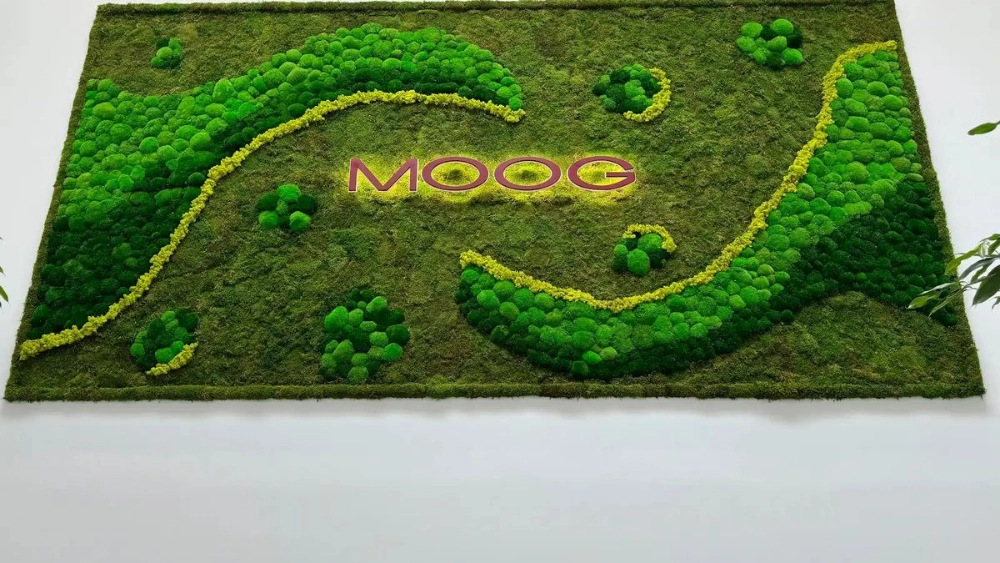 moog-img-1522