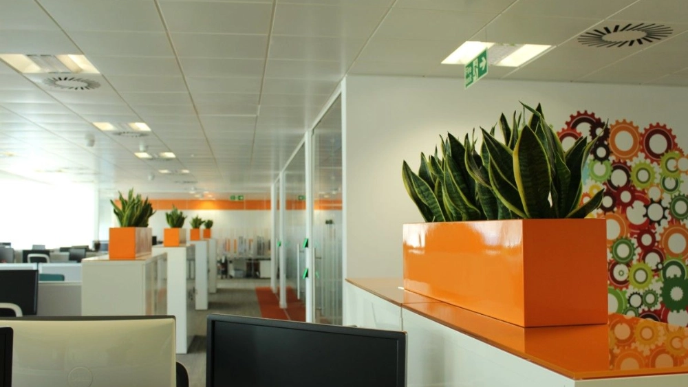 sas-uk-indoor-live-plant-displays-sas-uk-glasgow-52-min