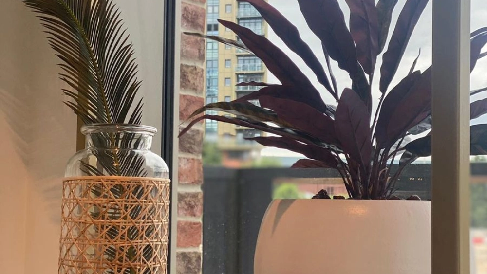 fresh-office-plantin-indoor-live-plant-displays---grainger---the-headline-9