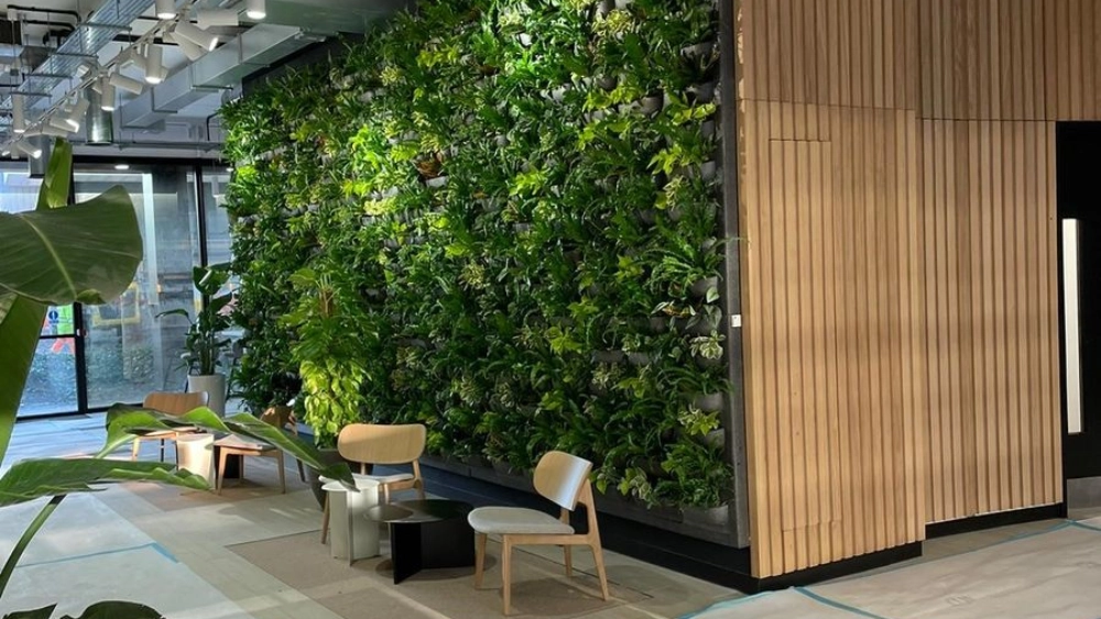 Plants on a wall in an office space