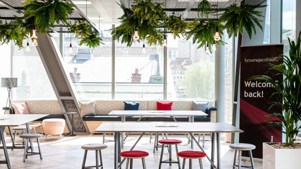 browne-jacobson-indoor-artificial-plant-displays-brown-jacobson-llp-5