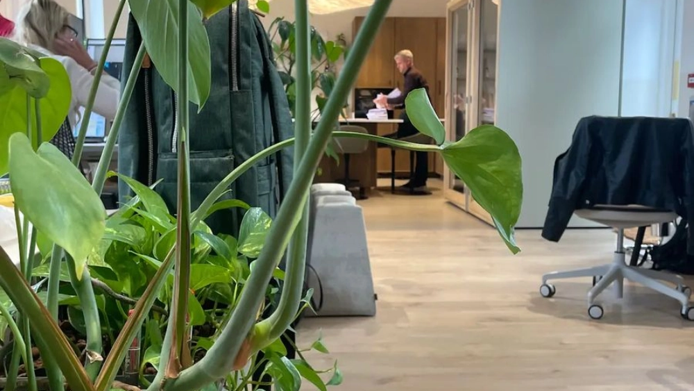 office-principles-img-6808