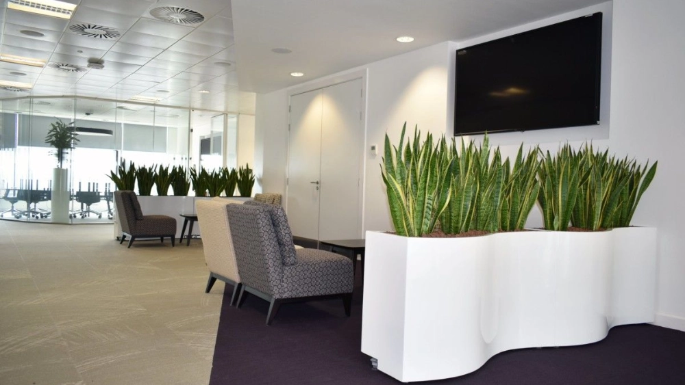 sas-uk-indoor-live-plant-displays-sas-uk-glasgow-3-min