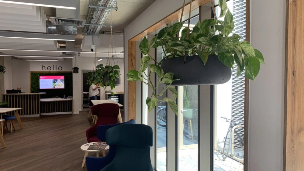 nottingham-trent-uni-indoor-live-plant-displays-nottingham-trent-university-2