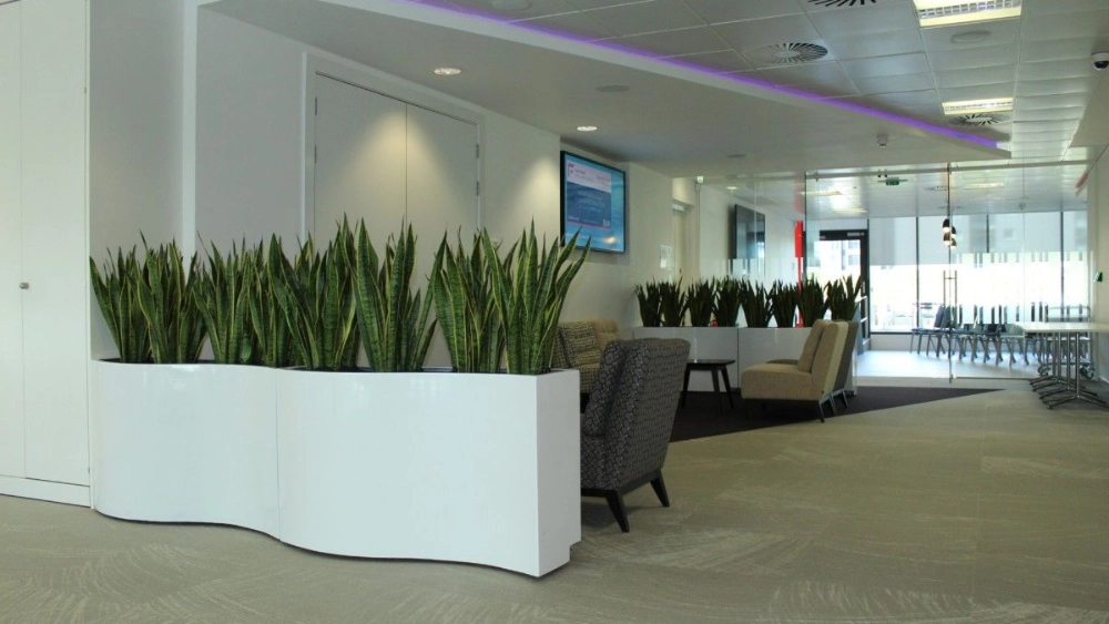 sas-uk-indoor-live-plant-displays-sas-uk-glasgow-27-min