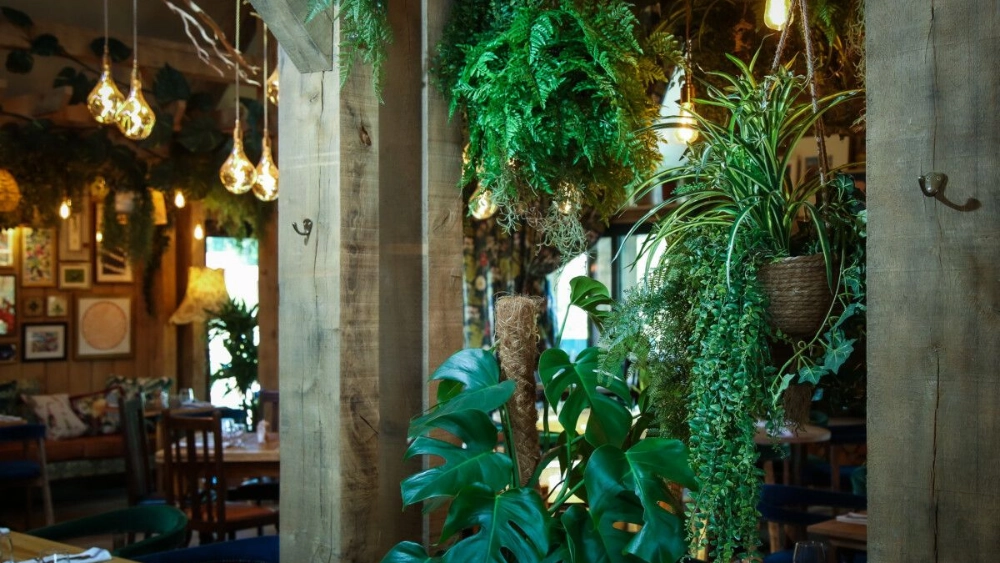 the-frog-at-mindenhu-indoor-live-plant-displays-the-frog-mindenhurst-1-1