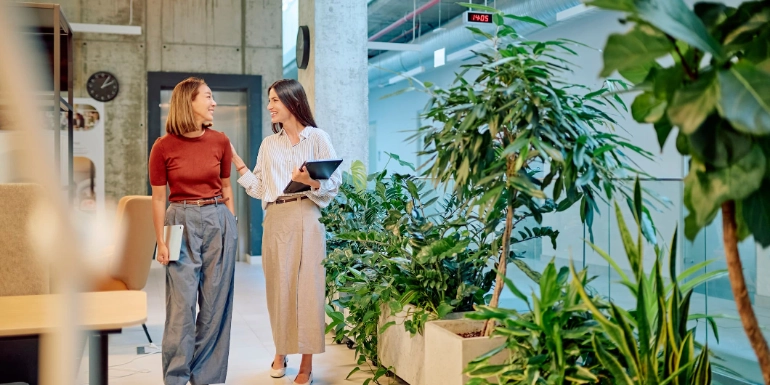 Fashion and foliage: Why house and office plants should always be in vogue