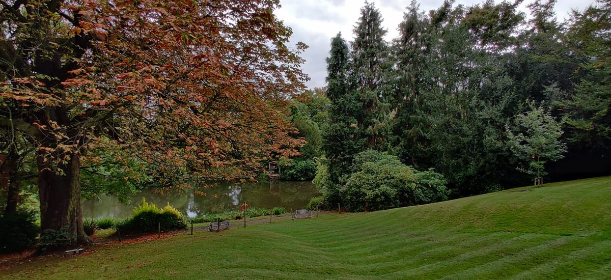 lake surrounded by an open park and trees