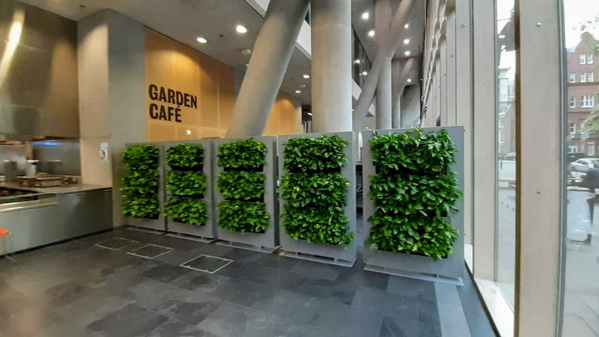plant walls in garden cafe