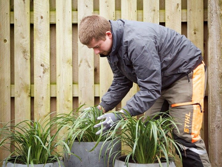 Grounds maintenance gallery 13