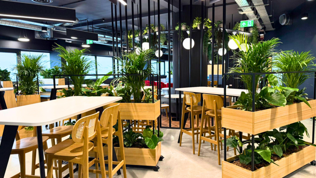 Office plants in a workspace
