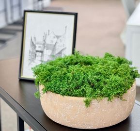 Close-up of a decorative beige bowl filled with bright green moss next to a framed sketch on a dark table, with a blurred office background.