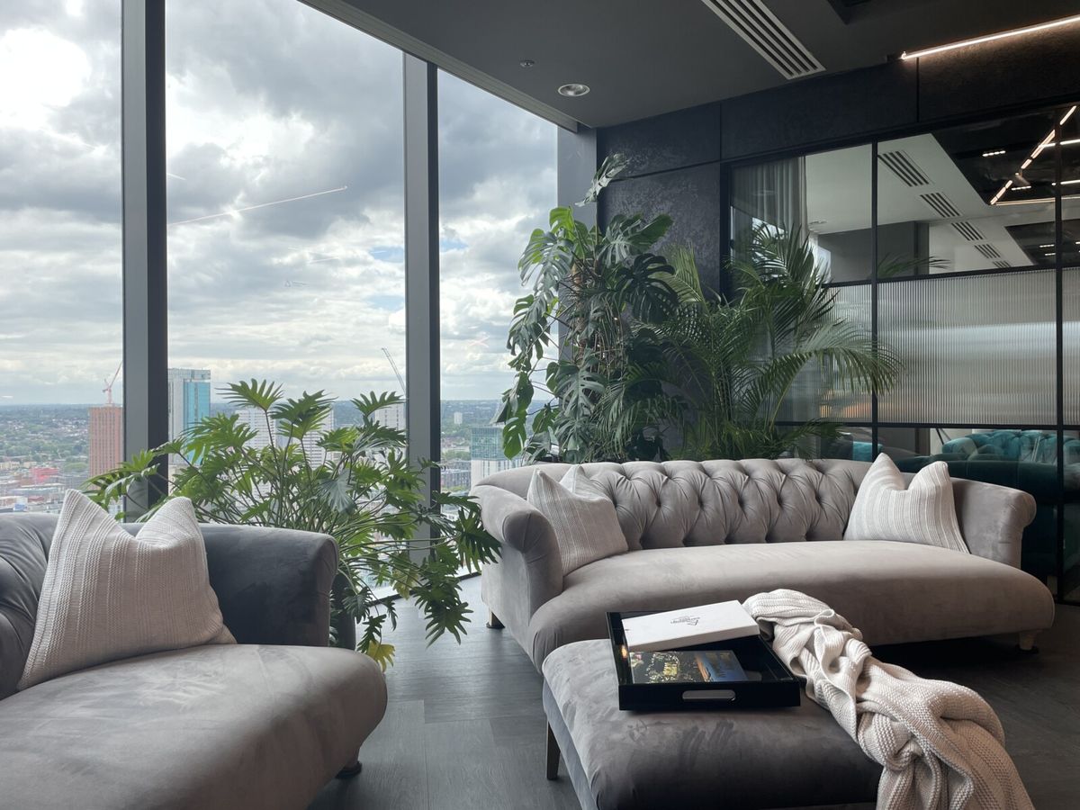 white and grey office couches with green plants behind them