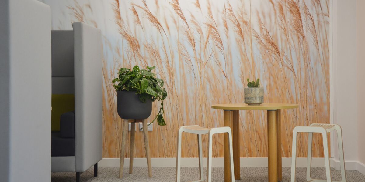 sitting area with designed wall and indoor plant
