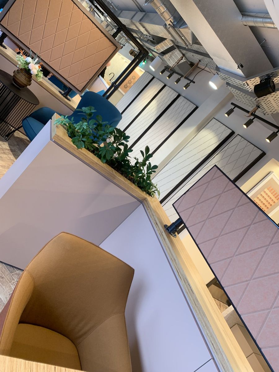 indoor plants on table