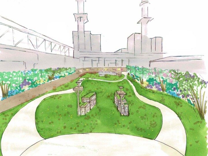 Design of a new landscaping project